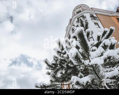 Fragment eines Gebäudes und einer Kiefer bedeckt mit Schnee auf einem Hintergrund eines bewölkten Himmels Stockfoto