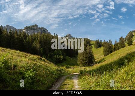 Landschaft des Regionalparks Gruyère Pays-d'Enhaut, Schweiz Stockfoto