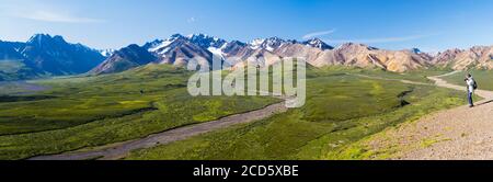 Landschaft mit Bergen, Polychrome Basin, Denali Nationalpark, Alaska, USA Stockfoto