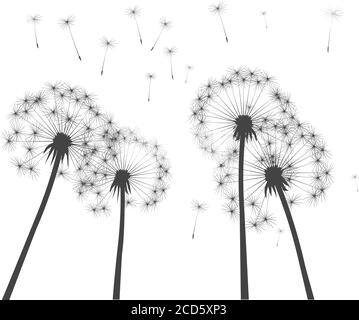 Form des Vektor Löwenzahn. Gliederungsdarstellung. Stock Vektor