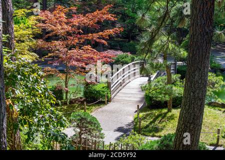 Die hölzerne Fußgängerbrücke in den Japanischen Gärten Ausstellung in Manito Park, Spokane, Washington, USA Stockfoto