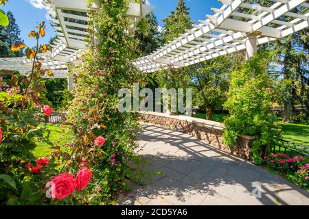 Die überdachte Pergola des Manito Park Pavillons und Rosengartens in Spokane, Washington Stockfoto