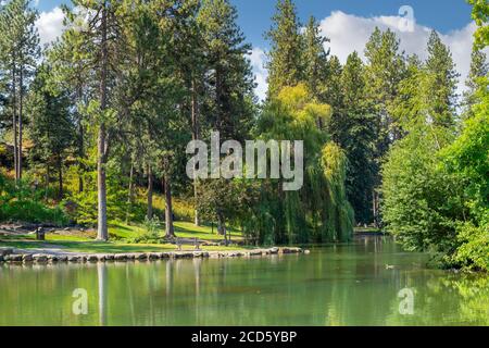 Eine Trauerweide sitzt am Rande des Manito Park Mirror oder Duck Teiches in Spokane, Washington, USA Stockfoto