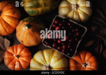 Flat Lay Autumn Still Life mit warmem Seitenlicht. Eine Auswahl an dekorativen Kürbissen, Kürbissen und Kürbissen im Herbst um einen Korb mit frischen Preiselbeeren. Stockfoto