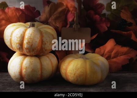 WRM Seitenlicht auf einem Autumn Farm Stand mit drei weißen Kürbissen blanko Preisschild und Herbstblättern. Stockfoto