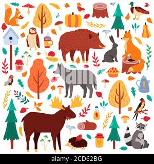 Cartoon Herbst Tiere. Nette Waldvögel und Tiere, Elche Ente Wolf und Eichhörnchen, wilde Wälder Fauna isoliert Vektor-Illustration Symbole gesetzt Stock Vektor