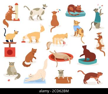 Zeichentrickkatzen. Niedliche Kätzchen Zeichen, lustig flauschig verspielte Katzen, Stammbaum Rassen Haustiere, liebenswert Kitty Haustiere Vektor-Illustration Icons set Stock Vektor