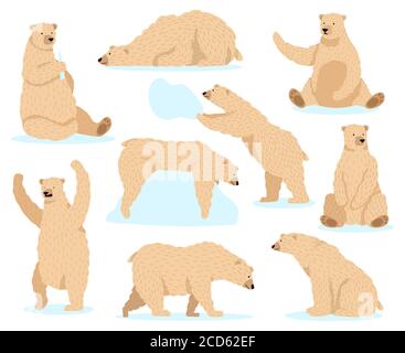 Eisweißer Bär. Arctic Snow Bear, niedlichen Nordbär Charakter, wütend Fell Tierwelt Säugetier Charakter isoliert Vektor Illustration Symbole gesetzt Stock Vektor