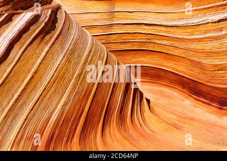 Landschaft mit glatten Felsformationen in der Wüste, Paria Canyon-Vermillion Cliffs Wilderness Area, Arizona, USA Stockfoto