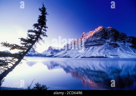 Landschaft mit Bow Lake im Winter, Banff National Park, Alberta, Kanada Stockfoto