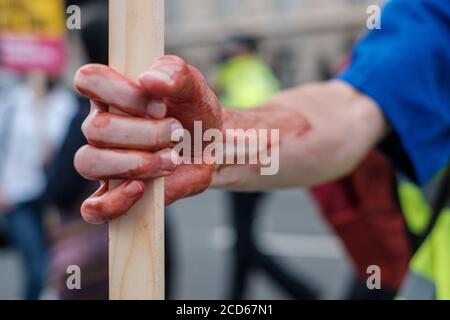 NHS-Mitarbeiter setzen ihren Protest in Whitehall/Downing Street fort, da sie weiterhin von der Regierung ignoriert werden Stockfoto