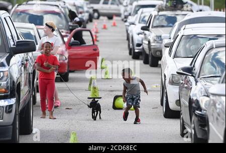 Austin, TX USA 26. August 2020: Hunderte von Autos aus dem Küstengebiet von Ost-Texas und dem Südwesten Louisianas warten in der Schlange vor einem Hurricane Laura Evakuierungszentrum, das von Austin-Beamten auf den Parkplätzen der Rennstrecke Circuit of the Americas eingerichtet wurde. Fahrer, die früh ankommen, erhalten Gutscheine für Hotelzimmer. Nachdem sie Stunden in ihrem Familienauto verbracht haben, strecken diese Kinder ihre Beine, während sie ihren Hund laufen. Laura wird voraussichtlich über Nacht als Sturm der Kategorie 4 landen und verheerende Schäden an der Küste von Texas und Louisiana und im Landesinneren anrichten. Kredit: Bob Daemmrich/Alamy Live Nachrichten Stockfoto