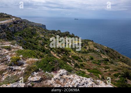 Europa, Malta, Valletta. Dingli Cliffs, der höchste Punkt auf Malta, liegt an der Westküste. Stockfoto