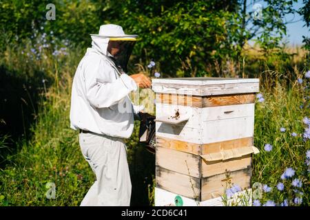 Imker tragen schützende Arbeitskleidung und Handschuhe bereitet sich auf Bienenstock öffnen Mit Bienenraucher Stockfoto