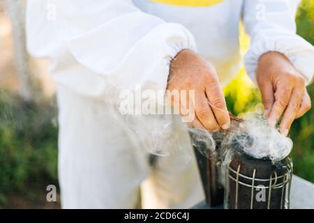 Nahaufnahme der Hände eines nicht erkennbaren Imkers füllt den Bienenraucher mit kleinen Hölzern. Stockfoto