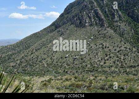 Der erste Anstieg des Guadalupe Peak Trail. Die Basisklippe des Guadalupe Peak Stockfoto