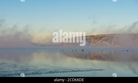 Nebel, Sonnenaufgang, tanzende Feen schaffen eine verträumte Szene. Schöner Morgen im Morgengrauen Stockfoto