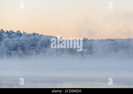 Nebel, Sonnenaufgang, tanzende Feen schaffen eine verträumte Szene. Schöner Morgen im Morgengrauen Stockfoto