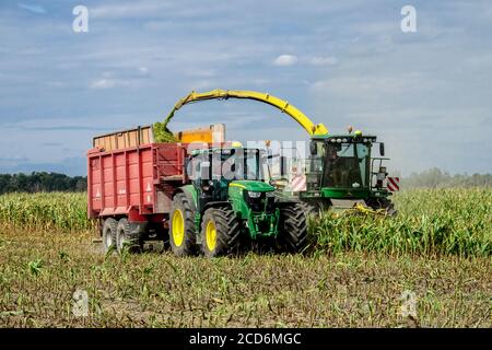 Mais Ernte Deutschland Landmaschinen, Mähdrescher Traktor-Anhänger, Ernte Mais Mähdrescher Stockfoto