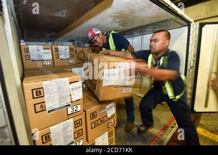 Hongkong. August 2020. Am Kuala Lumpur International Airport in Malaysia, 18. Juni 2019, werden Kisten von Duriern, die nach China exportiert werden, in einen Kühlcontainer gebracht. UM MIT DEN XINHUA SCHLAGZEILEN VOM AUGUST ZU GEHEN. 27, 2020 Quelle: Chong Voon Chung/Xinhua/Alamy Live News Stockfoto