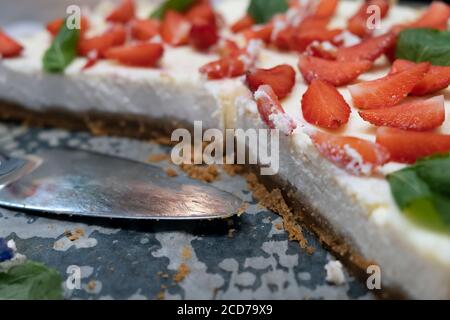 Köstlicher hausgemachter Käsekuchen mit Erdbeeren und Minze, Nahaufnahme Stockfoto
