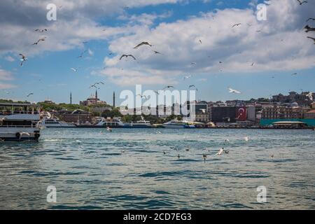 Ein totenschädel, der über das Goldene Horn (Halic) fliegt, Fähren, Boote und die Hagia Sophia (Ayasofya) Moschee im Hintergrund, Istanbul, Türkei Stockfoto