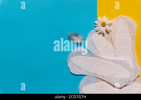 Slipeinlage mit Feder, Kamillenblüten auf hellem Hintergrund. Menstruation und Frauen Alltagshygiene Konzept. Sanitär-Pads und Gänseblümchen Blume Stockfoto