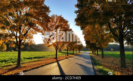 Alles im Fall der Hintergrundbeleuchtung Stockfoto