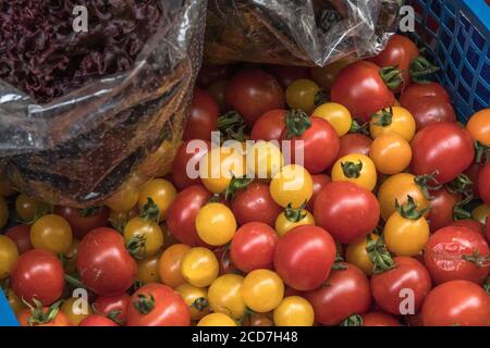 Kleine rote und gelbe Kirschtomaten zum Verkauf in einem Supermarkt an der Ecke. Aus der Rebe selbst angebaute Kirschtomaten. Lebensmittel ohne Kunststoffverpackung. Stockfoto