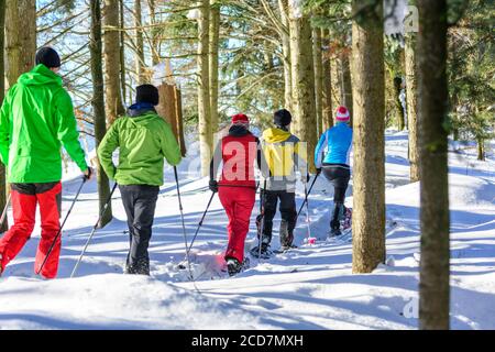 Eine Gruppe von gut gelaunten Menschen, die sich einem Schneeschuh Wanderung in der winterlichen Natur an einem kalten, sonnigen Tag Stockfoto