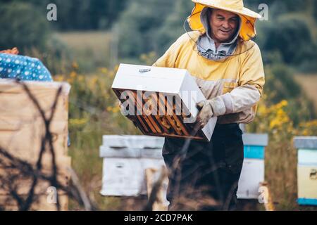 Portrait eines Imkers in Schutzkleidung mit Hive-Rahmen. Bienenzuchtkonzept, Kopierraum Stockfoto