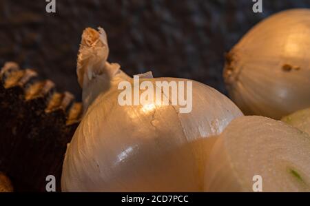 Zwiebelknollen (Allium cepa). Kulinarische Zutat. Gemüse zum Würzen und Würzen. Zwiebeln sind voller Antioxidantien und können roh verzehrt werden Stockfoto