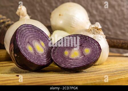 Zwiebelknollen (Allium cepa). Kulinarische Zutat. Gemüse zum Würzen und Würzen. Zwiebeln sind voller Antioxidantien und können roh verzehrt werden Stockfoto