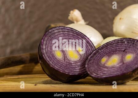 Zwiebelknollen (Allium cepa). Kulinarische Zutat. Gemüse zum Würzen und Würzen. Zwiebeln sind voller Antioxidantien und können roh verzehrt werden Stockfoto