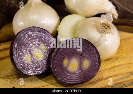 Zwiebelknollen (Allium cepa). Kulinarische Zutat. Gemüse zum Würzen und Würzen. Zwiebeln sind voller Antioxidantien und können roh verzehrt werden Stockfoto