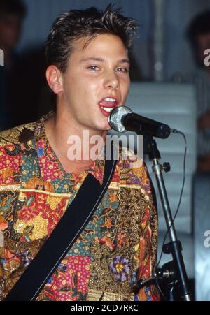 Tele 5 Talkshow, Talkshow-Reihe, Sendung vom 24. Juni 1990, Talkgast Schauspieler und Musiker Fabian Harloff Stockfoto