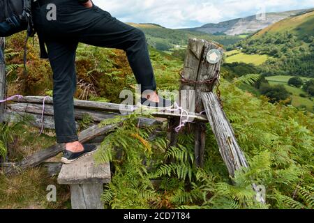 Nahaufnahme der Beine und Füße des Mannes, die über eine gehen Holzart im Wald mit Farnen und Moos Stockfoto