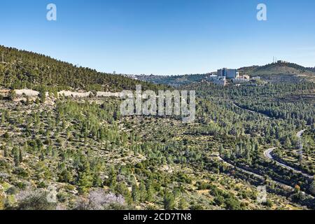 Wald von Sataf westlich von Jerusalem Israel. Eine schöne Gegend zum Wandern und Genießen der Natur. Stockfoto