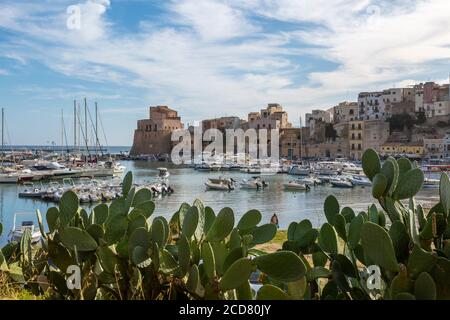 Blick über den Hafen der Küstenstadt mit Kakteen im Vorgeort, Castellammare del Golfo, Provinz Trapani, Sizilien Stockfoto