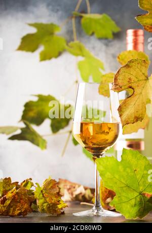 Weißweinglas und Weinflasche auf grauem Hintergrund mit Speicherplatz kopieren Stockfoto