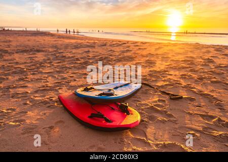 Schwimmen Bodyboards am Strand bei schönem Sonnenuntergang an einem warmen Sommerabend, South Australia Stockfoto