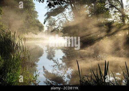 Am frühen Morgen Nebel über den Wiesen auf dem Fluss Wey in Godalming, Surrey, an einem kalten Herbstmorgen. Stockfoto