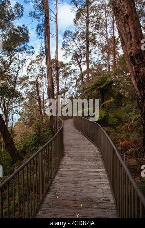 Fred Piper Memorial Lookout Australien Stockfoto