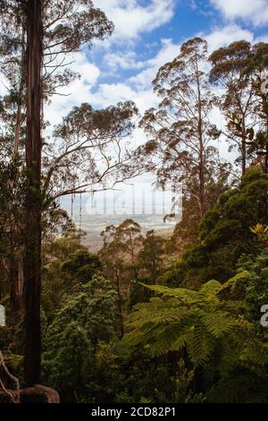 Fred Piper Memorial Lookout Australien Stockfoto