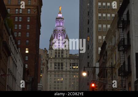 Das städtische Gebäude in New York City wurde zu Ehren des hundertjährigen Wahlrechts am Tag der Frauengleichheit (August 26,2020) violett beleuchtet. Stockfoto