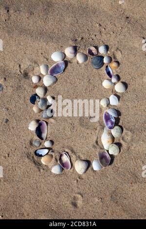 Nummer 0 aus Muscheln auf dem Sand gelegt. Meereshintergrund. Das Symbol ist Null. Schalen. Speicherplatz kopieren. Stockfoto