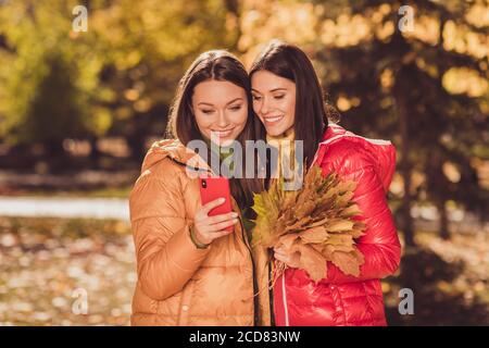 Portrait von zwei schöne attraktive ziemlich fröhlich fröhlich beste Freundinnen Verbringen Wochenende Zeitvertreib Oktober in den Händen Büschel Baum Blätter halten Umarmen Stockfoto