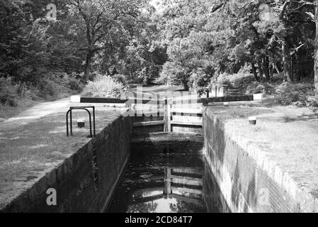 Nicht viel Wasser in diesem Schwarz-Weiß-Foto aufgenommen An einer Schleuse am Basingstoke Kanal wegen einer Fehlende Niederschläge während des Sommers Stockfoto