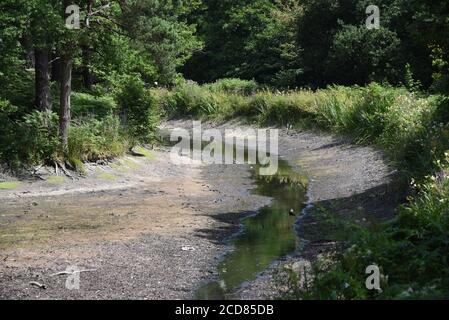 Kein Wasser in diesem Abschnitt des Basingstoke Kanals, weil Der Mangel an Niederschlägen im Sommer Stockfoto