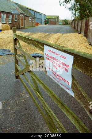 Maul- und Klauenseuche auf einer Farm in Hampshire UK 2001 Stockfoto